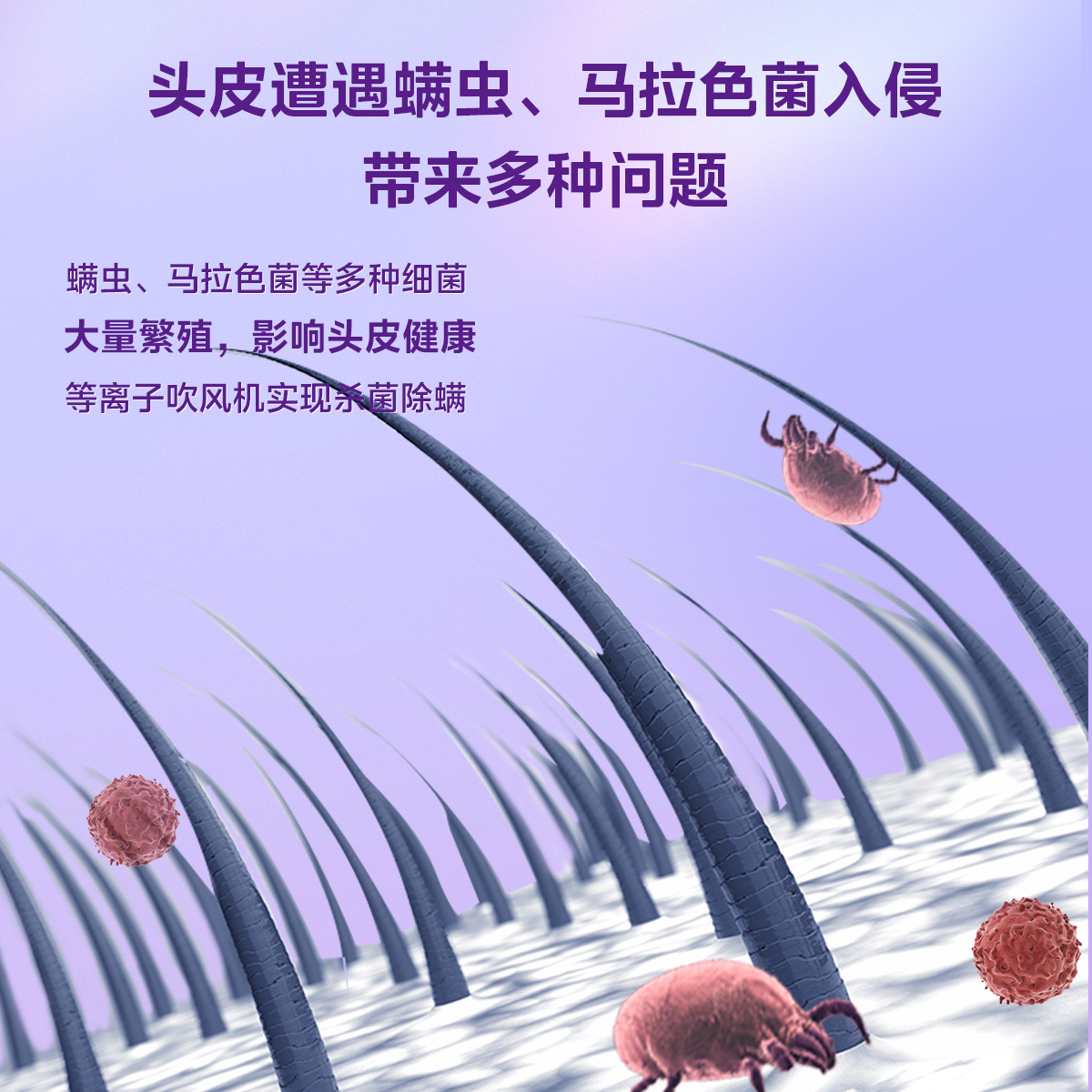 美的_电吹风_FJ306_小水滴-极光紫